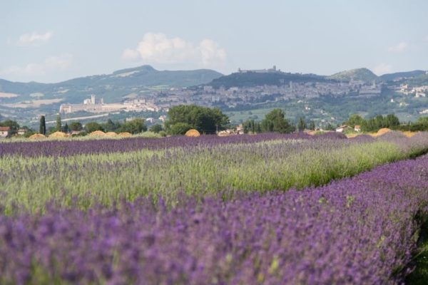 Tour in Umbria in Self Drive