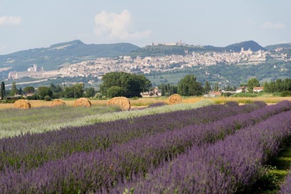 Tour in Umbria in Self Drive